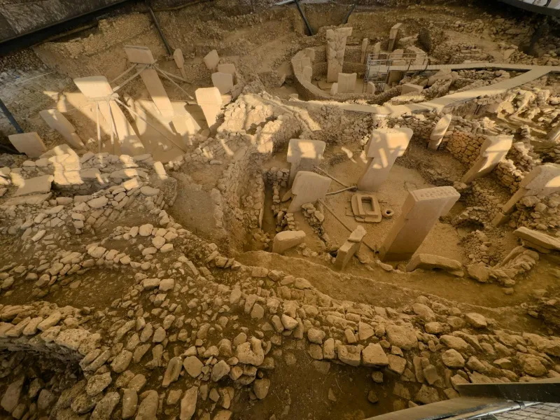 The Retiree Who Dug Up History: How Tomato Plants Uncovered America's Lost Colonial Past