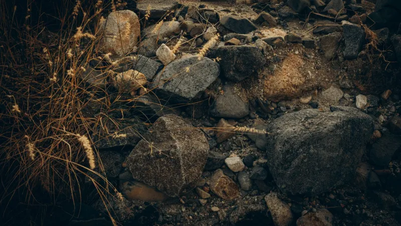 A Rock Fell From Space Into Someone's Bedroom. Then the Lawyers Showed Up.