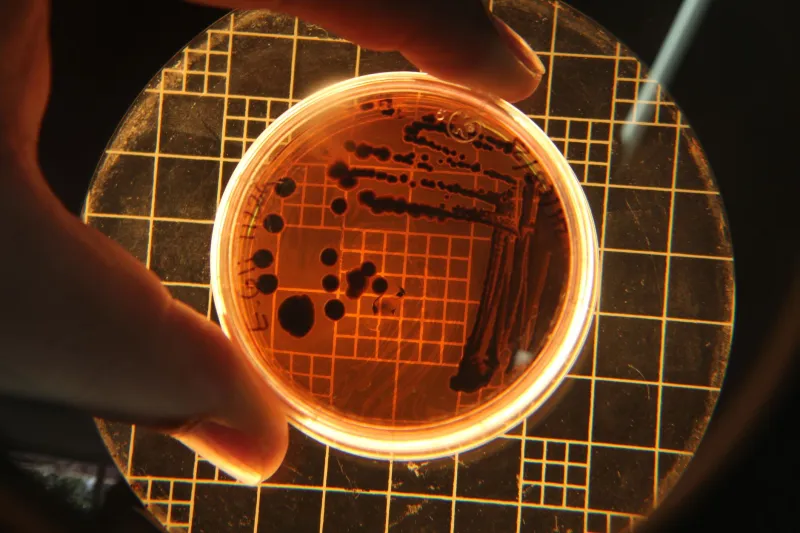 The Virus That Eats Bacteria Was Curing People 80 Years Before We Remembered It Existed